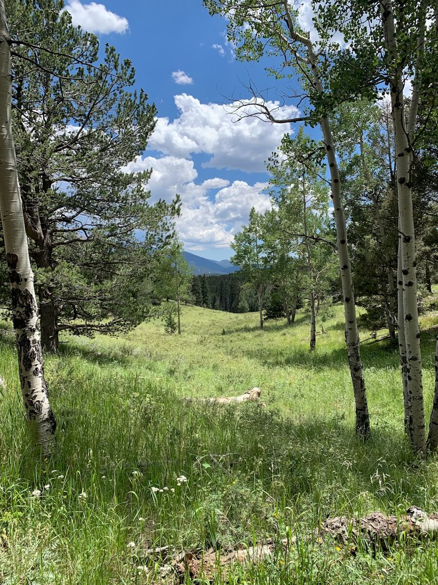 Airbnb & Vacation Rental Management in Florissant, Colorado